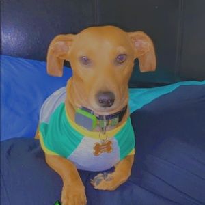 Meet your Posher, Shea